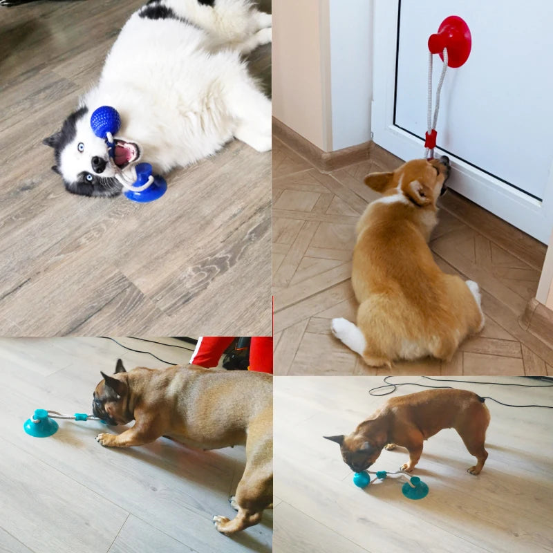 Brinquedos para cães de estimação filhote de cachorro.