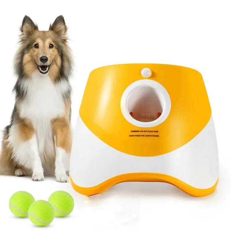 Brinquedo automático para cães de estimação